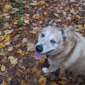 Meet your Posher, Meaghan